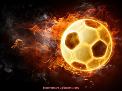 U球体育直播-庄威健身器材公司产品系列与用户口碑分析