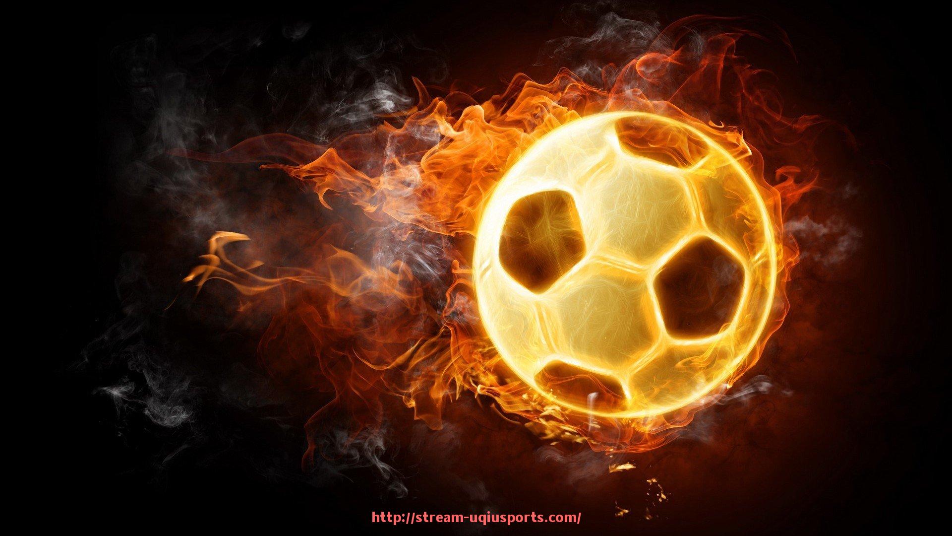 U球体育直播-庄威健身器材公司产品系列与用户口碑分析